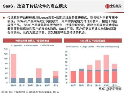 2020全球軟件SaaS云計算產(chǎn)業(yè)展望 軟件外包服務(wù)的轉(zhuǎn)型與機遇